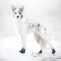 Warm Pet Dog Shoes Winter Waterproof Pet Dog Boots Shoe Rain Snow Booties Reflective Nonslip Footwear For Small Large Dogs