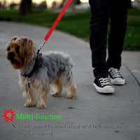 Pet Products Universal Practical Cat Dog Safety Adjustable Car Seat Belt Harness Leash Puppy Seat-belt Travel Clip Strap Leads