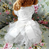 Lace Princess Pet Dog Wedding Dresses Pet Tutu Skirt Puppy Cat Dress Pet Apparel XS S M L XL