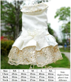 Lace Princess Pet Dog Wedding Dresses Pet Tutu Skirt Puppy Cat Dress Pet Apparel XS S M L XL