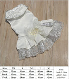 Lace Princess Pet Dog Wedding Dresses Pet Tutu Skirt Puppy Cat Dress Pet Apparel XS S M L XL