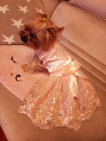 Lace Princess Pet Dog Wedding Dresses Pet Tutu Skirt Puppy Cat Dress Pet Apparel XS S M L XL