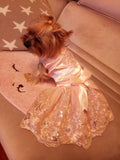 Lace Princess Pet Dog Wedding Dresses Pet Tutu Skirt Puppy Cat Dress Pet Apparel XS S M L XL