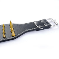 3 inch Wide Spikes Studded Leather Pet Dog Collar for Large Breeds Pitbull Doberman M L XL Sizes