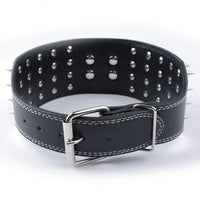 3 inch Wide Spikes Studded Leather Pet Dog Collar for Large Breeds Pitbull Doberman M L XL Sizes