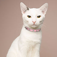 Cool Cat Dog Collar Cats Dog Leather Spiked Studded Collars For Small Medium Dogs Cats Chihuahua 5 Colors