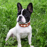 Fashion Leather Dog Collar French Bulldog Rhinestone Pet Collar Perro For Small Medium Dogs Metal Accessories Pet Collars