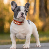 Fashion Leather Dog Collar French Bulldog Rhinestone Pet Collar Perro For Small Medium Dogs Metal Accessories Pet Collars
