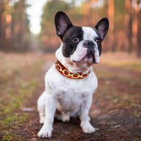 Fashion Leather Dog Collar French Bulldog Rhinestone Pet Collar Perro For Small Medium Dogs Metal Accessories Pet Collars