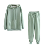 Autumn Winter Women thick fleece 100% cotton suit 2 pieces sets hoodies sweatshirt and pants suits