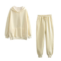 Autumn Winter Women thick fleece 100% cotton suit 2 pieces sets hoodies sweatshirt and pants suits