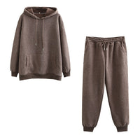 Autumn Winter Women thick fleece 100% cotton suit 2 pieces sets hoodies sweatshirt and pants suits