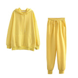 Autumn Winter Women thick fleece 100% cotton suit 2 pieces sets hoodies sweatshirt and pants suits