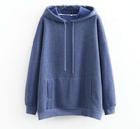 Autumn Winter Women thick fleece 100% cotton suit 2 pieces sets hoodies sweatshirt and pants suits