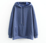 Autumn Winter Women thick fleece 100% cotton suit 2 pieces sets hoodies sweatshirt and pants suits