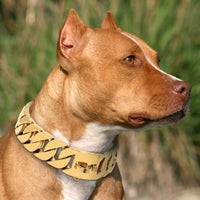Strong Metal Dog Chain Collars Stainless Steel Pet Training Choke Collar For Large Dogs Pitbull Bulldog Silver Gold Show Collar