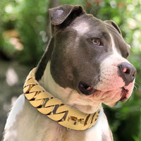 Strong Metal Dog Chain Collars Stainless Steel Pet Training Choke Collar For Large Dogs Pitbull Bulldog Silver Gold Show Collar