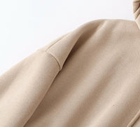 Autumn Winter Women thick fleece 100% cotton suit 2 pieces sets hoodies sweatshirt and pants suits
