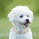 Pearl Dog Necklace Collar Fashion Jeweled Puppy Cat Collar With Bling Rhinestone Diamante Dog Pet  Accessories Supplies