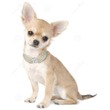 Pearl Dog Necklace Collar Fashion Jeweled Puppy Cat Collar With Bling Rhinestone Diamante Dog Pet  Accessories Supplies