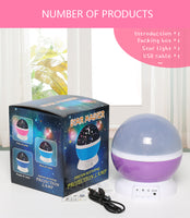 Romantic Starry Sky LED Night Light Projector Battery USB Night Light Creative Birthday Toys For Children
